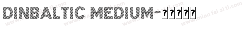 DINBaltic Medium字体转换